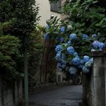 친구 <b>생선</b>으로 이거 에바?