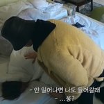 [NCT드림] 깨우라고 보냈더니 <b>나도</b> 들어갈래 이러고 같이 누워잠