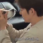 <b>반려</b>견 키우는 사람들은 모두 이해한다는 상황