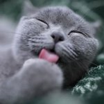 <b>오빠</b>가