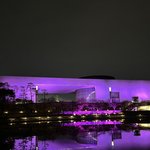 블핑 오늘 <b>컴백</b>인데