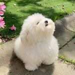 비온후 공기 <b>깨끗</b>하다