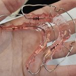 [드루와] 이거 본 너희들은 왠만하면 교정 하지<b>말길</b>…