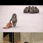 <b>펀치</b> 너무 귀여움