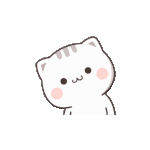오늘 옷<b>색은</b>