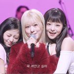 [드루와] 와...얘네 드디어 일내는구나