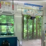 [드루와] 유독 <b>여름</b>이 추억 미화되는거