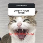 [댓글부탁해] 모배하는 <b>사람</b> 있나