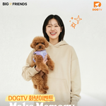 이런 <b>화보</b>찍으려면 얼마 정도 들려나?