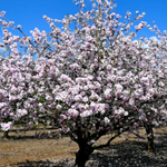 [유다이즘] 숨기기 그리고 찾기