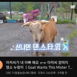 <b>인류애</b> 뚝뚝 떨어질땐