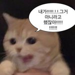 내가