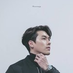 눈이 <b>편안</b>하고 아름다운 진짜 코들의 향연