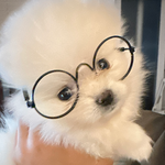 쪼꼬만 것이 이게 맞아? 쑥쑥 크고 괴랄<b>하네</b> ㅋㅋ