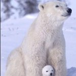 [테오시스] 결혼과 나