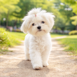 [하고싶은말] 귀여운건