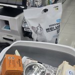 길냥이한테 <b>간택</b>당함. 진짜 <b>간택</b>이라는게 있네..