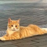 쭈욱 스트레칭 <b>매일</b>