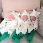 황신영 세쌍<b>둥이</b>래