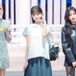 아이브 레이 <b>비율</b> 봐