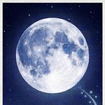 [NCT드림] 드림 <b>우주</b> 좋아하는데 space x에 드림하고 같이...