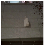 [댓글부탁해] <b>기숙사</b>들에서 음식 먹는걸 금지하는 이유