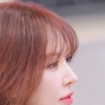 14년 된 팬 위한 <b>아이돌</b>의 역대급 레전드 미담