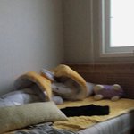 방 <b>청소</b> 점 해라 동생아