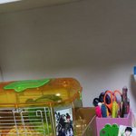동생 <b>책상</b> 봐라 이게 사람 <b>책상</b>임?