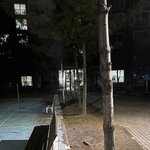 [방탈죄송] 아파트 보행로 옆에서 애무는 하고 싶고 시선은 싫은 <b>남녀</b>