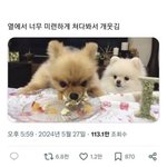 <b>별일</b>은 있는데