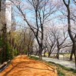 시작하는 맨발의 봄"… 하남시, 관내 맨<b>발길</b> 25개소 전격 개장