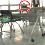 [단독]공익제보 향한 ‘보복성 징계’… 대신면 거점<b>사업</b> 위원회 ‘사유화’...