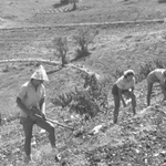 [유다이즘] 여섯 날 동안 일할지니라