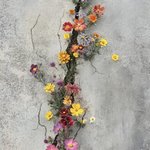 <b>화이팅</b>입니다