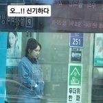 [19] 와 <b>풍자</b> 살 ㅈㄴ많이빠짐