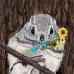 [어케생각해] <b>취미</b>로 그린 하늘다람쥐 <b>그림</b>