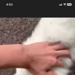 [19] 키크고 잘생긴 연하 <b>썸남</b>이 보내준건데