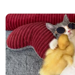 [레이] 베리레드의날)<b>객실</b>(?)