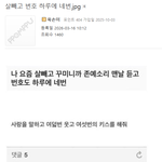 나 살빼고 <b>번호</b> 하루에 네번