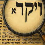 [유다이즘] 운명과 우연 <b>사이</b>