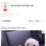 [댓글부탁해] 와 <b>이</b> 갱얼쥐 진짜 넘모 귀엽다