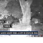 <b>개들</b>을 왜 비비탄으로 쏘는건지 볼수록 빡치네요