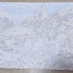피포페인팅 3일<b>차</b>