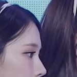 아니 이 코가 <b>자연</b>으로 가능함?