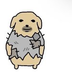 [댓글부탁해] 24살인데 <b>인생</b> 망했어