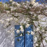 배경<b>화면</b>~~