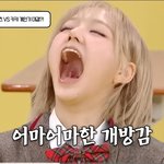 [드루와] (충격 실화) 헐 키키 <b>지유</b> 턱관절 뭐야???