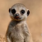 아..  <b>어</b><b>그</b>로 끌고 싶다