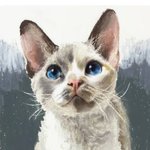 난 진짜 <b>그림</b> 잘 그리는 사람들 보면 신기함